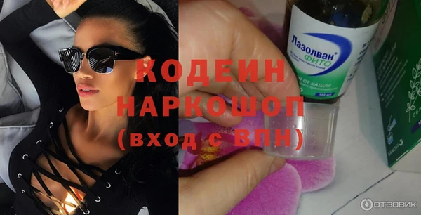 круглые Гусев