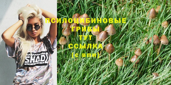 круглые Гусев