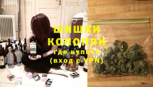 круглые Гусев