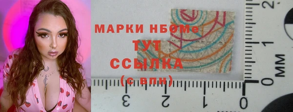 прущие грибы Гусиноозёрск