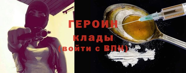 прущие грибы Гусиноозёрск