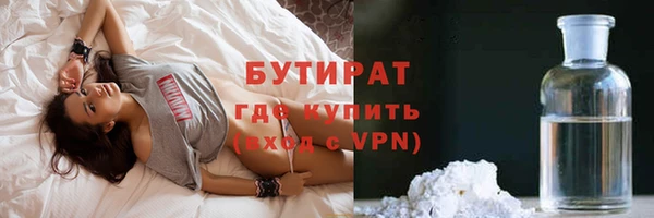 прущие грибы Гусиноозёрск