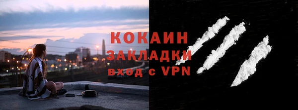круглые Гусев