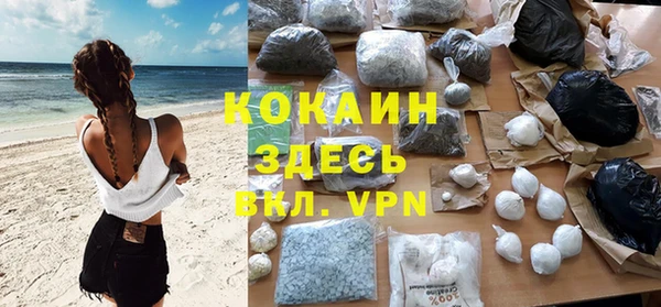 прущие грибы Гусиноозёрск