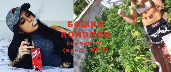 прущие грибы Гусиноозёрск