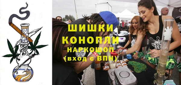 прущие грибы Гусиноозёрск