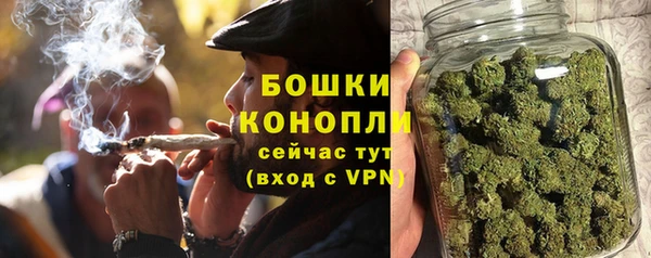 дурь Гусь-Хрустальный