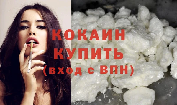 прущие грибы Гусиноозёрск