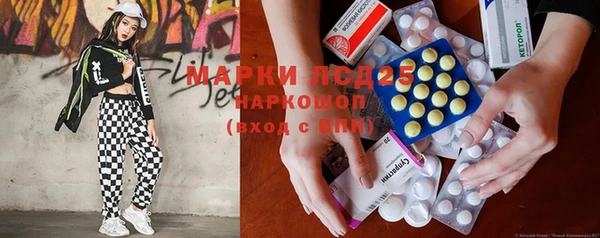 прущие грибы Гусиноозёрск