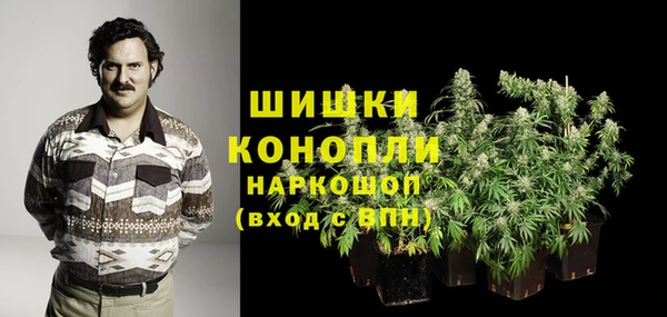 круглые Гусев