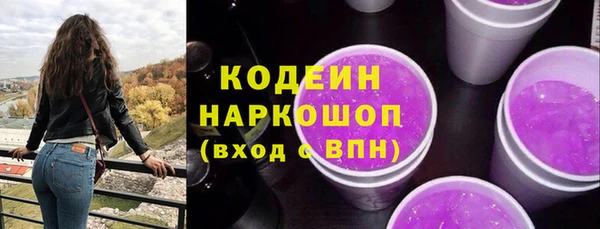 круглые Гусев