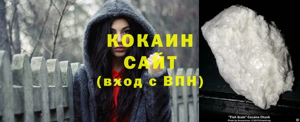 прущие грибы Гусиноозёрск