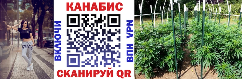 Конопля OG Kush  Купить закладки  Железноводск 